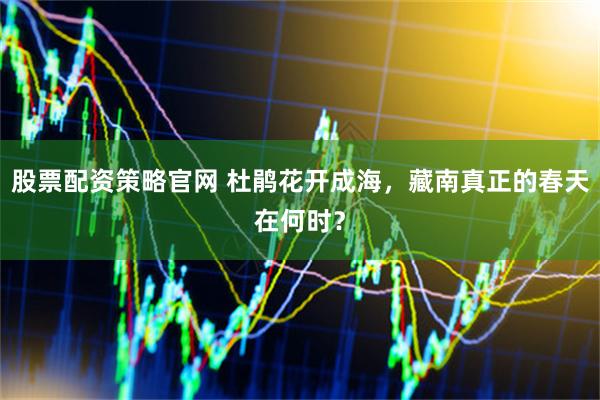 股票配资策略官网 杜鹃花开成海，藏南真正的春天在何时？